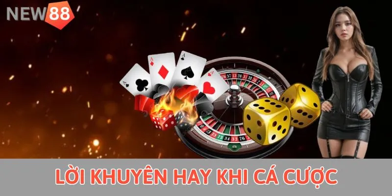 Lời khuyên hay khi cá cược 